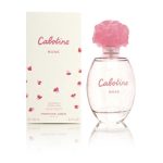 Cabotine de Gres 3.4 oz